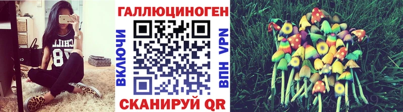 Галлюциногенные грибы Psilocybine cubensis Купить Тотьма