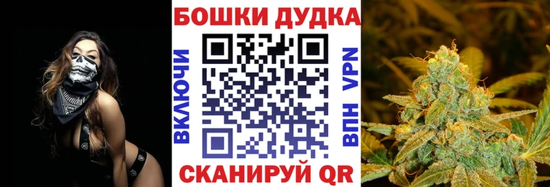 Купить закладки Тотьма Бошки Шишки гибрид
